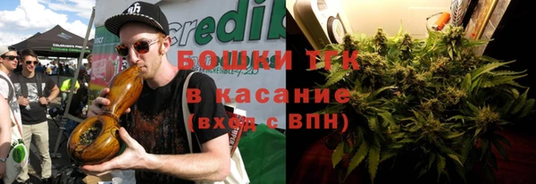 соль ск Белокуриха