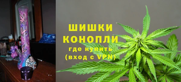 соль ск Белокуриха