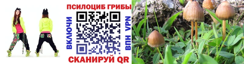 Псилоцибиновые грибы мицелий  ссылка на мегу ТОР  Буйнакск 